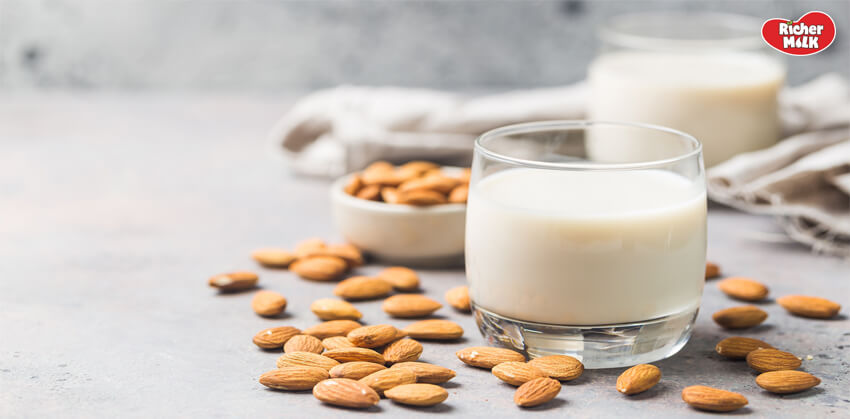 Cách bảo quản sữa hạt điều hạnh nhân để được lâu