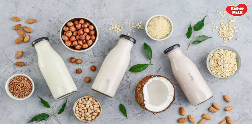 cách bảo quản sữa hạt bạn cần phải biết