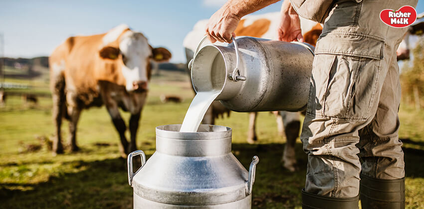 sữa động vật có tốt hơn sữa thực vật