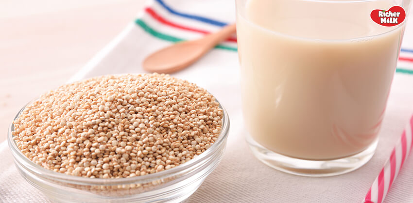 sữa hạt diêm mạch dễ làm tại nhà