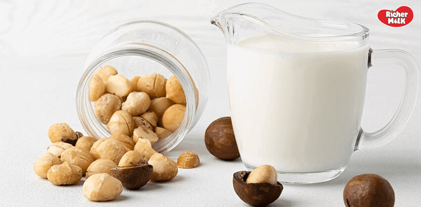 sữa hạt macca mang lại nhiều lợi ích sức khỏe