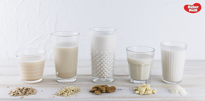 sữa hạt và sữa bò có những ưu nhược điểm khác nhau
