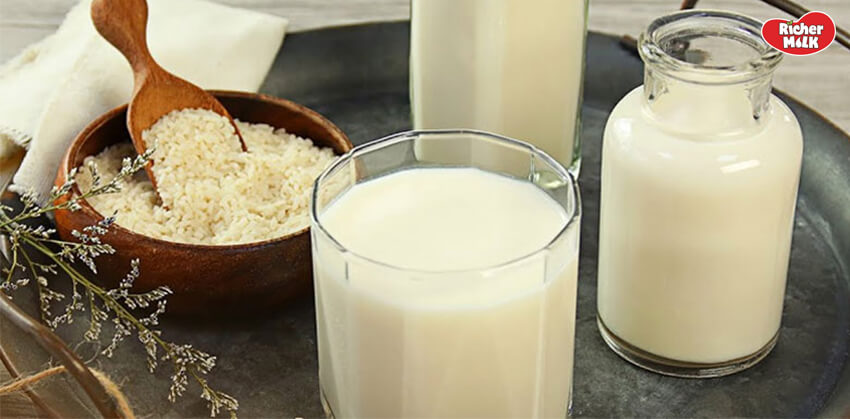 ưu nhược điểm của sữa gạo
